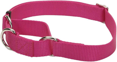 Coastal Pet - No Slip - Martingale Adjustable Dog Collar, Pink Flamingo, 3/4" x 14-20"...