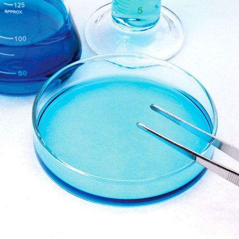 United Scientific 10 Pack Sterile Thick Plastic Petri Dishes with Lid, 90mm Dia x 15mm, Designed for use in Laboratories, Home, and Classrooms...