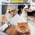 5pcs Flea Comb,Dematting Comb for Dog and Cat,Stainless Steel Teeth Head Nit Comb for Small,Medium&Large Pets,Lice Combs,Tick Comb for Dogs,Dog Co...