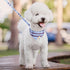 KOOLTAIL Dog Collar and Leash Set 3 Park, Adjustable Soft Leather Puppy Collar and Leash Tangle Free for Outdoor Walking, Dog Bandana Collar with ...