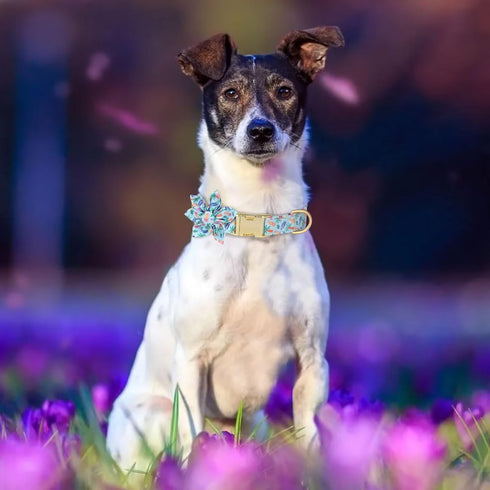 Beirui Cute Girl Dog Collars for Female Dogs, Summer Dog Collar with Flower, Soft Floral Pet Collars for Small Medium Large Dogs(Coconut Tree,S)...