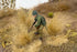 Warmtree Simulation Grass Miniature Static Grass Model Grass Tufts Railway Artificial Grass for Train Landscape Railroad Scenery Sand Military Lay...