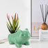 3 Pack Succulent Plant Pots, Ceramic Planters Mini Cute Animal Planters for Potted Plants Cactus Flowers Home Decor Crafts Gifts...