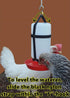 1 Qt. Hanging Harness (Plastic Only)...