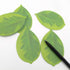 Cute Tree Leaf Sticky Notes/Paper Memo Self-Adhesive Notes, 3.93" x 2.45" 10 Pads/Pack, 25 Sheets/Pad (5 Colors)...