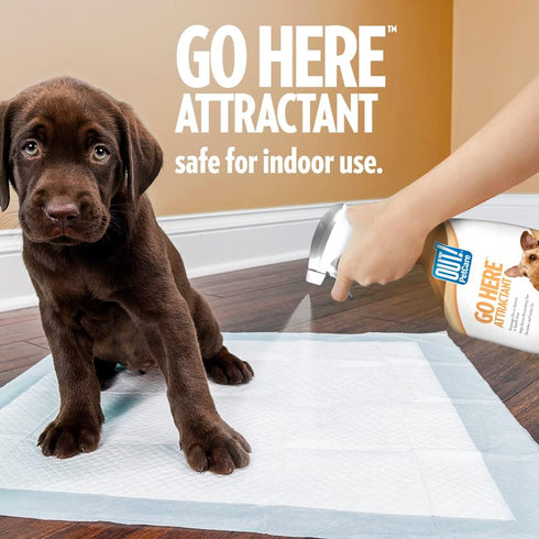 OUT! PetCare Go Here Attractant Indoor and Outdoor Dog Training Spray - House-Training Aid for Puppies and Dogs - 32 oz...