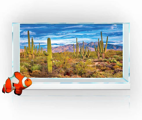Reptile Habitat Background Rock Blue Sky Oasis Cactus Desert Terrarium Background with 10 Eva Double Sided Tape 36X18IN with 8 EVA Double-Sided Ta...