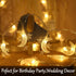 Fielegen 40 LED Moon String Lights Battery Operated 20ft Moon Mini Star Fairy Lights for Patio Garden,Wedding Garden Decoration,Party Festival Lig...