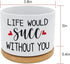 Funny Ceramic Plant Succulent Planter Pot - Life Would SUCC Without You White Mini Cactus Plant Office Garden Decor for Teacher, Coworker, Firends...