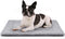 Dog Bed, Dog Crate Mat Washable, Ultra Soft & Anti-Slip S Dog Bed Fit Dog Crates & Kennels, Suitable for Dogs Up to 25 lbs, 24" x 18", Grey...