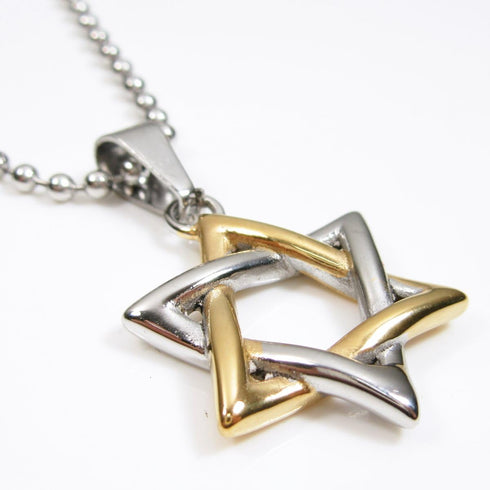Stainless Steel Jewish Star of David Pendant Necklace Silver Gold Tone...