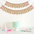 Video Game Birthday Decorations for Girls Kids and Adults, Pink Game Controller Happy Birthday Burlap Banner,Game Zone Gamer Themed Birthday Sign ...