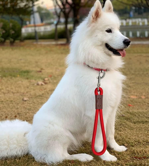 Short Dog Leash, 12 Inch Rope Traffic Handle Leash, 1/2" Strong Nylon Dog Training Tab for Medium/Large/Ex-Large Dogs Outdoor Walking, Red...