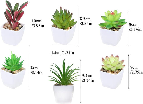 Nubry Mini Fake Succulent Plants Artificial Plastic Succulents Potted Faux Assorted Plants for Home Office Table Decoration, Set of 6 (White Plast...
