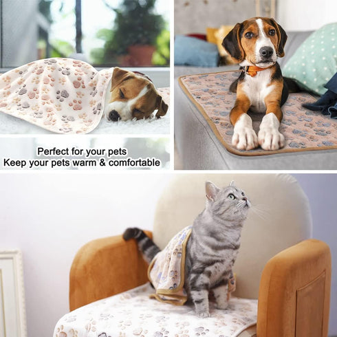 3 Pack Cat and Dog Blanket Soft & Warm Fleece Flannel Pet Blanket, Great Pet Throw for Puppy, Small Dog, Medium Dog & Large Dog (Small)...