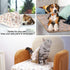 3 Pack Cat and Dog Blanket Soft & Warm Fleece Flannel Pet Blanket, Great Pet Throw for Puppy, Small Dog, Medium Dog & Large Dog (Small)...