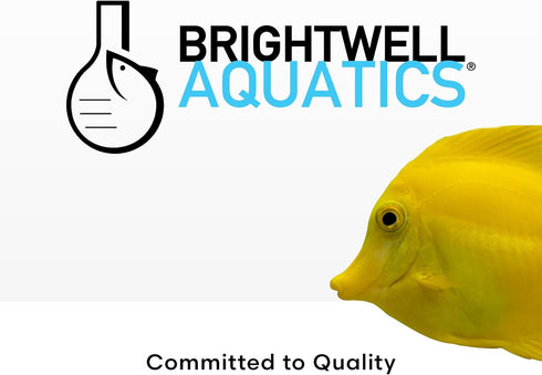 Brightwell Aquatics NeoNitro Balanced Nitrogen Supplement - Reef Nutrient Enhancer for Ultra-Low Nutrient Systems - Aquarium Water Treatments, 16....