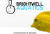 Brightwell Aquatics NeoNitro Balanced Nitrogen Supplement - Reef Nutrient Enhancer for Ultra-Low Nutrient Systems - Aquarium Water Treatments, 8.4...