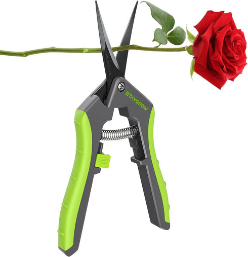6.5" Pruning Shears for Gardening, Sharp Plant Trimming Scissors for Precise Cuts, Stainless Steel Garden Scissors Bonsai Clippers (1-Pack Curved)...