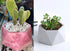 Silicone Flower Planter Mold for Concrete Succulent Pot, Candle Container DIY, Hexagon...