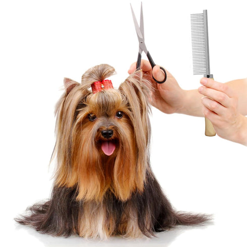 Dog and Cat Combs For Grooming Long Haired Pets, Stainless Steel Pin Teeth Wooden Handle Grooming Comb Prevents Matted Fur...
