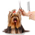 Dog and Cat Combs For Grooming Long Haired Pets, Stainless Steel Pin Teeth Wooden Handle Grooming Comb Prevents Matted Fur...