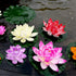 ifundom 5Pcs Lily Pads for Ponds, Artificial Lotus- Water Lily Pads Leaves & Floating Foam Lotuses for Garden Fish Pond Aquarium Pool Wedding Deco...
