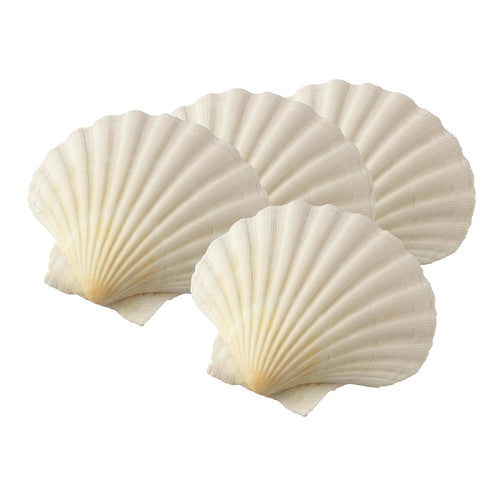 Maine Man Natural Baking Shells, 4-Inches, Set of 4...
