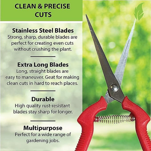 Garden Guru Extra Long Stainless Steel Pruner Pruning Shears Clippers Snips – Sharp Bonsai Cutter Plant Trimming Scissors – Straight Blade Garden ...