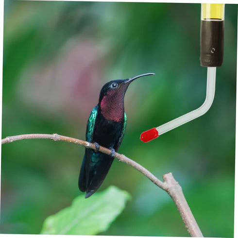 4pcs Hummingbird Water Feeder Pet Accessories Water Feeder Outdoor Pet Water Dispenser Birds Feeding Port Perky Pet Hummingbird Feeder Hummingbird...