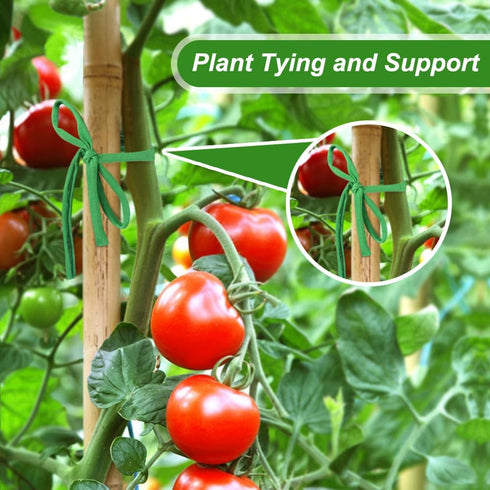 Shintop 2 Packs Garden Twine, Soft Plant Ties Green Tomato Ties Stretchy Garden String for Supporting and Tying Climbing Plants Veggies Flower(98 ...