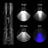 2 in 1 Blacklights Flashlight, UV 395nm Ultraviolet Torch Light High Lumen for Home Security, Outdoor Camping Cycling Hiking, Scorpion Hunting, Pe...