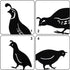 NUOBESTY 4PCS Quail Garden Decorative Statues Metal Quail Garden Stakes Animals Bird Outdoor Decoration for Lawns...