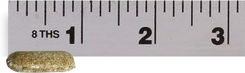 Jobe's Organics Succulent Fertilizer Spikes, Easy Plant Care for Succulent, Cactus, and Aloe Vera Plants, 12 Count...