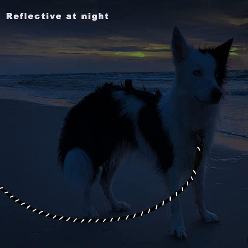 Waterproof Dog Leash Pet Leash with Locking Hook 2 Ft Leash Carabiner Heavy Duty Night Light Up Nylon Bungee Leash for Medium to Large Dogs (Short...