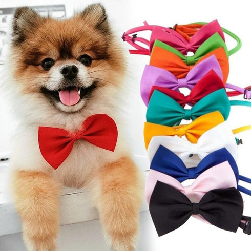 Orange Dog Bow Ties with Adjustable Collar Pet Neckties Cat Bow Tie Dog Bowtie Collar Dog Bows Grooming Solid Puppy Neckties Cat Collars Basic Dog...
