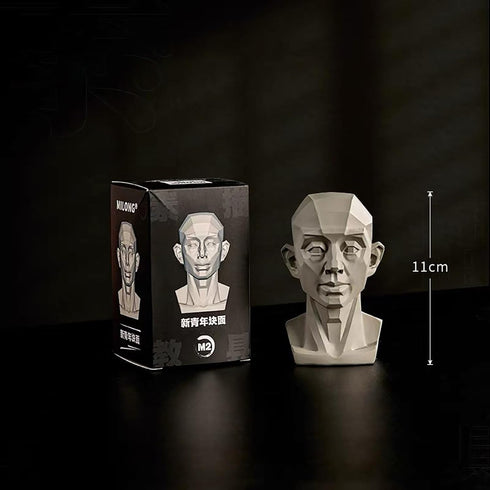 Generic Planar Head Model for Artists Learn Planes of Face, Human Manikin Head for Medical and Artistic Drawing Skecthing Painting, Color White (L...