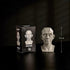 Generic Planar Head Model for Artists Learn Planes of Face, Human Manikin Head for Medical and Artistic Drawing Skecthing Painting, Color White (L...