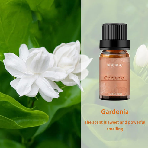 BURIBURI Gardenia Essential Oil 100% Pure Gardenia Fragrance Oil, Undiluted, Natural, Organic Aromatherapy Oil Essential Oils 10ML for Soap Candle...