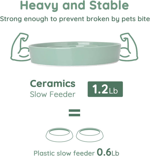 SPUNKYJUNKY Slow Feeder Ceramic Dog Bowls for Small Breed Slow Down Eating Anti-Choking Dishes Slow Feeding for Fun Pet Bowl(10OZ Bowl,Light Green...