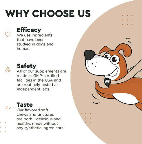 Immune Support Mushroom Powder for Dogs – Organic Mushroom Complex for Immunity, Cognition, Cellular Health, Longevity - With Turkey Tail Mushroom...