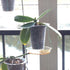 Beautyflier 6” Pack of 4 Clear Flower Pot Planter Plastic Orchid Pot with Holes Tall Plant Pots for Home Office Desk Garden Flower Shop Decoration...