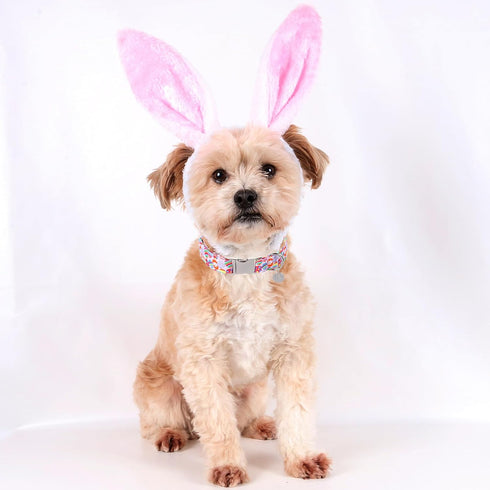 Easter Dog Collar, Cotton Easter Egg Collar for Puppy Girl Boy Dog or Cat, Easter Day Gift Rabbit Dog Collar, Cute Carrot Pet Dog Collar with Meta...
