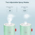 Green Portable Mini Humidifier, 500ml Small Cool Mist USB Desktop Humidifier for Baby Bedroom, Travel, Office, Home - Auto Shut-Off, 2 Mist Modes,...