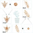 PH PandaHall 8pcs(4 Pairs) 4 Colors Triangle/Leaf Shape Alloy Brooches Hollow Pattern Shirt Collar Brooch Unisex, Antique Bronze/Golden/Silver/Ros...