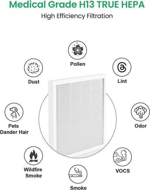G3 Air Filter Replacement Compatible with AMEIFU G3 Air Purifier, VEWIOR A3, LAMPICK A6, Tailulu HQZZ-260 Air Cleaner, 3-in-1 Filter H13 True HEPA...