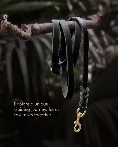 FAIRWIN Leather Dog Leash 6 Foot - Braided Best Military Grade Heavy Duty Dog Leash for Large Medium Small Dogs Training and Walking (Black, S:1/2...