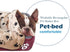 Barelove Pet Dog Bed, Washable Rectangular Pet Basket Bed , Durable and 100-Percent Waterproof and Fleece Lining Fit Most Pets (Small, Wine Red)...