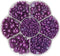 Chenkou Craft Around 1900pcs Violet Assorted 7 Sizes Immitation Half Pearl Bead Flat Back Gem Scrapbook Craft DIY Loose Beads + Plastic Box (Viole...
