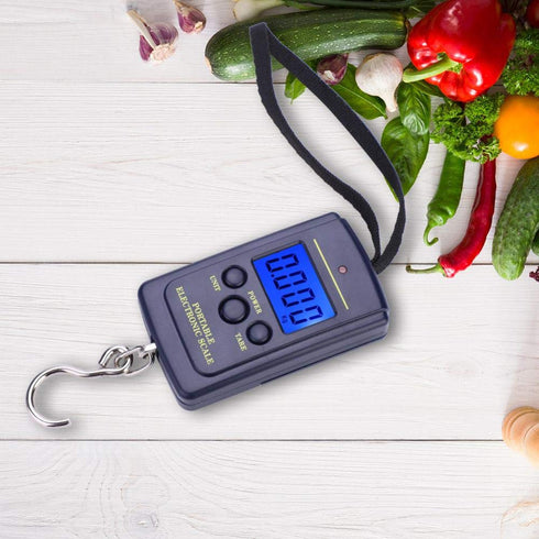 Fish Scales Digital Weight, Hanging Weight Scales, Portable Plastic Electric Balance Digital Fishing Postal Hanging Hook Scale Load 40kg with Lcd ...